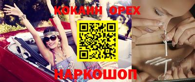 герыч Кингисепп