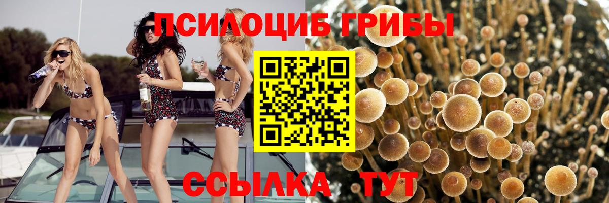 Псилоцибиновые грибы Magic Shrooms Феодосия